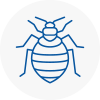 Bed Bug Extermination In Newburn