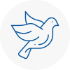 Bird Prevention Newburn
