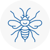 Newburn Hornet Nest Removals