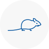 Mice Exterminators In Newburn