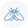 Moth Control Specialists In Newburn