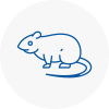 Rat Control Newburn