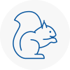 Newburn Rodent Removals