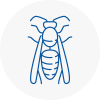 Newburn Wasp Nest Removal